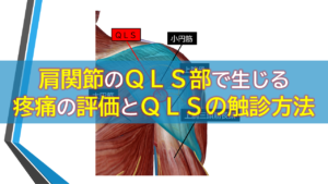 肩関節のＱＬＳ部で生じる疼痛の評価とＱＬＳの触診方法